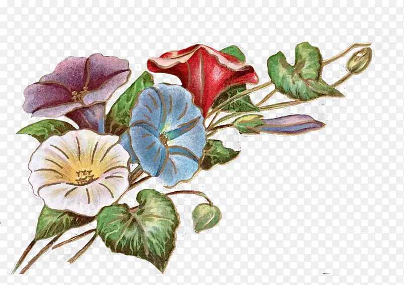 ���� ������ �滭-������