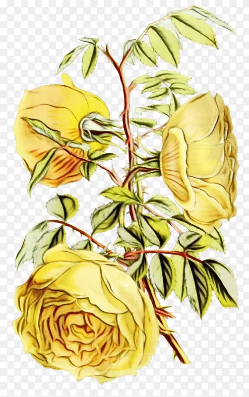 ˮ�� ���� ʪīˮ-������