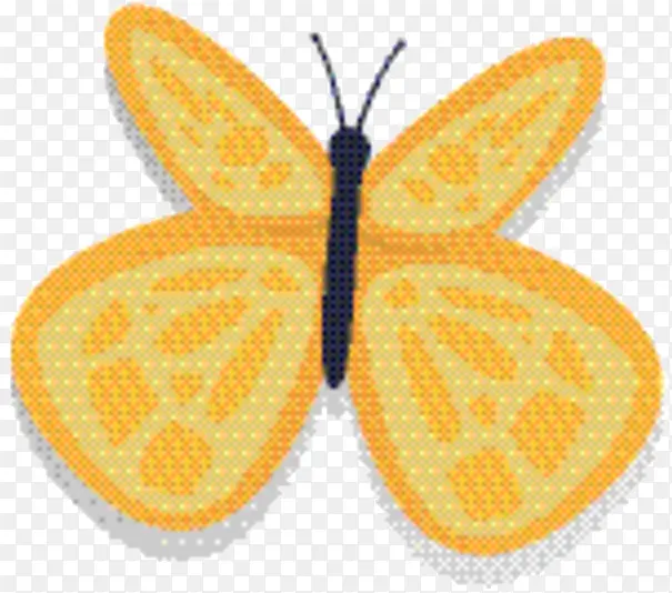 ������ ˢ��� ����-������