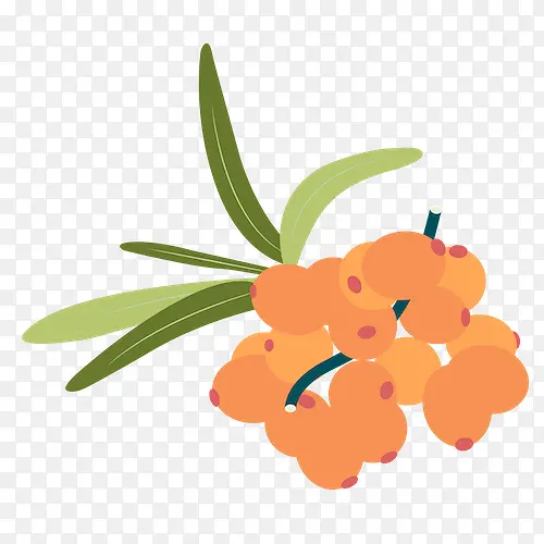 �����ֽ ����ֲ�� �������-������