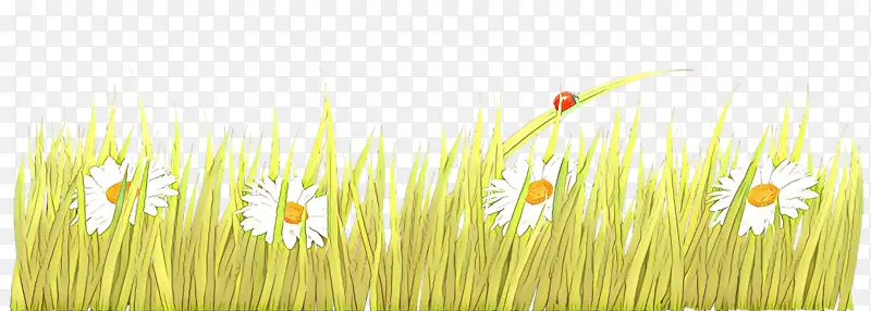 ��ͨ �����ֽ ��-������