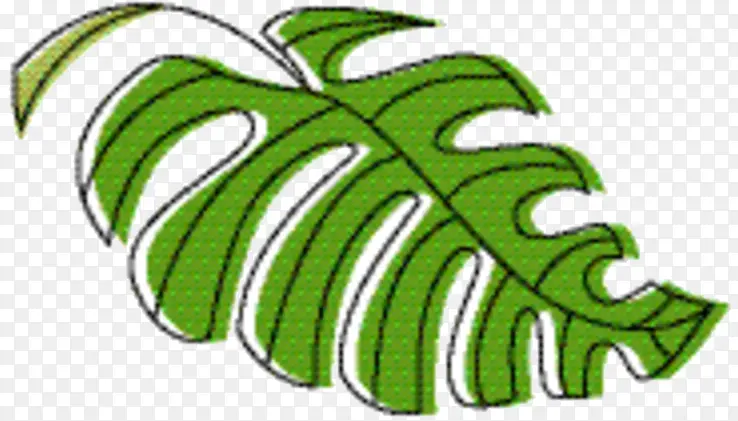 ����ֲ�� �� ����-������