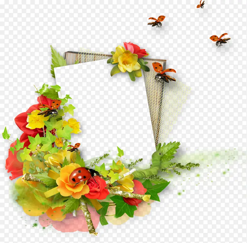 �滭 ���� ��װ�ĺ��-������