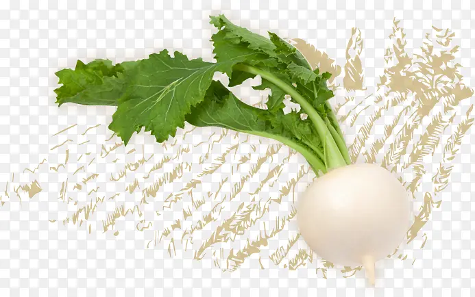 �ܲ� �߲� ʳƷ-������