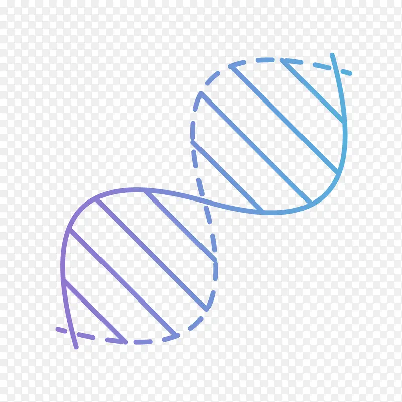 �����ͼ�� ���� ��֧��������-������