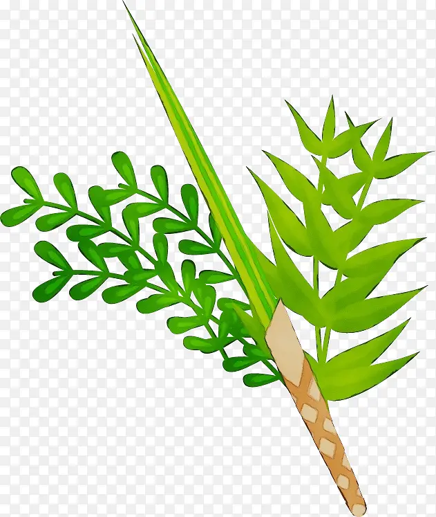 ˮ�� ���� ʪī-������