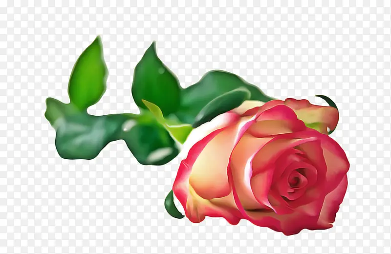 õ�� ���� ����-������