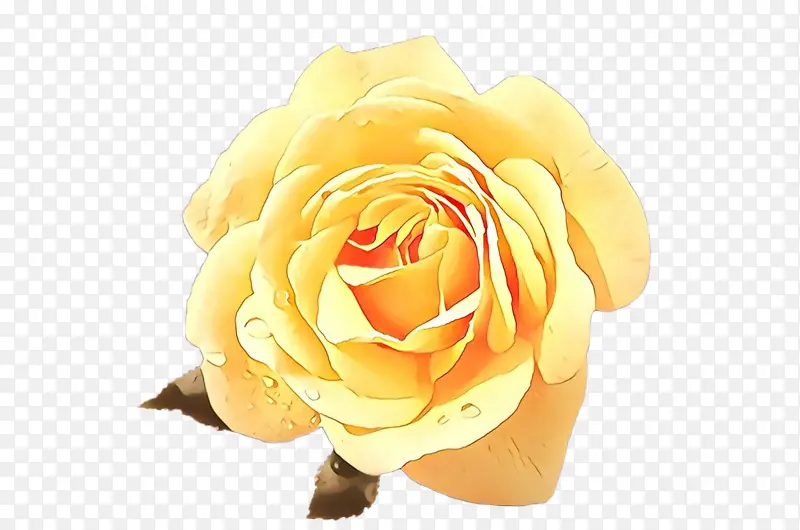 õ�� ���� ֲ��-������