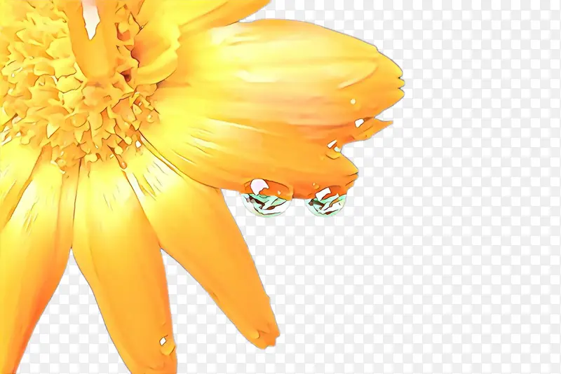 ���پ� ���� ����-������