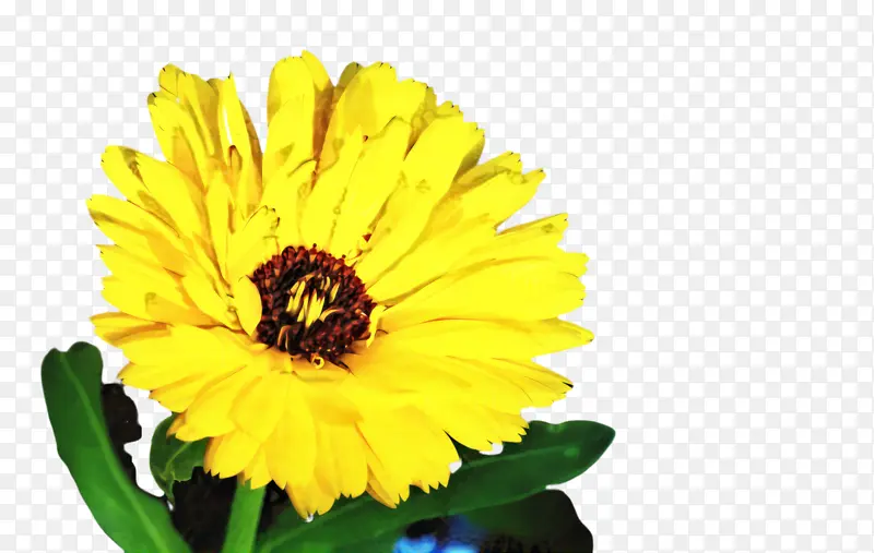 ���پ� ���� ��-������