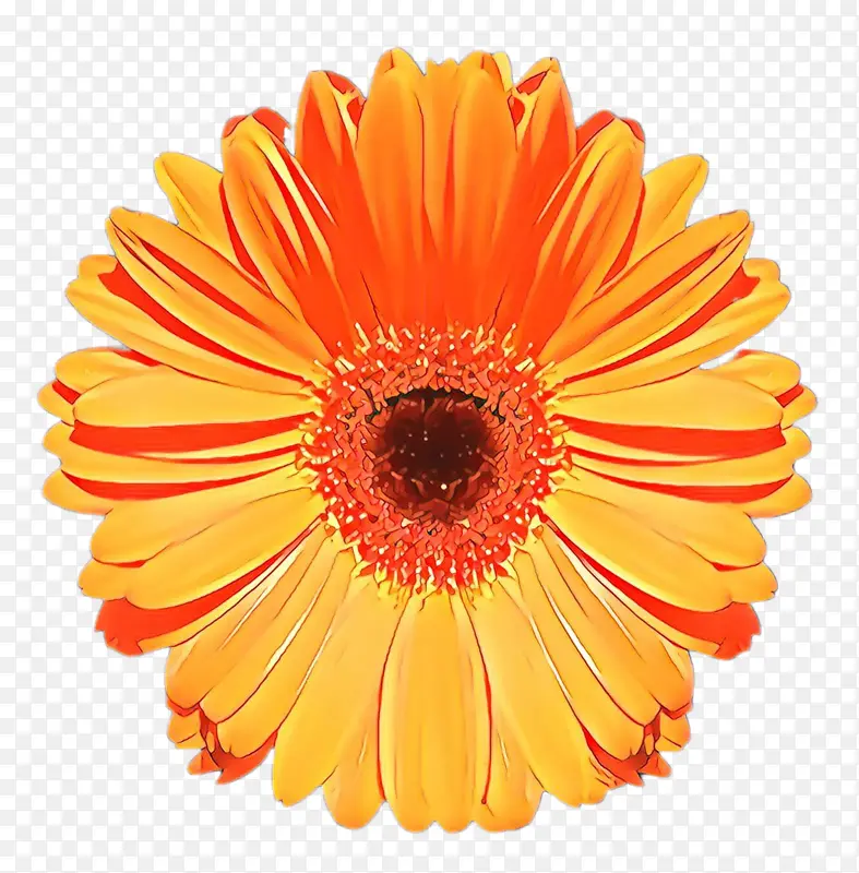 ���پ� ���� ����-������