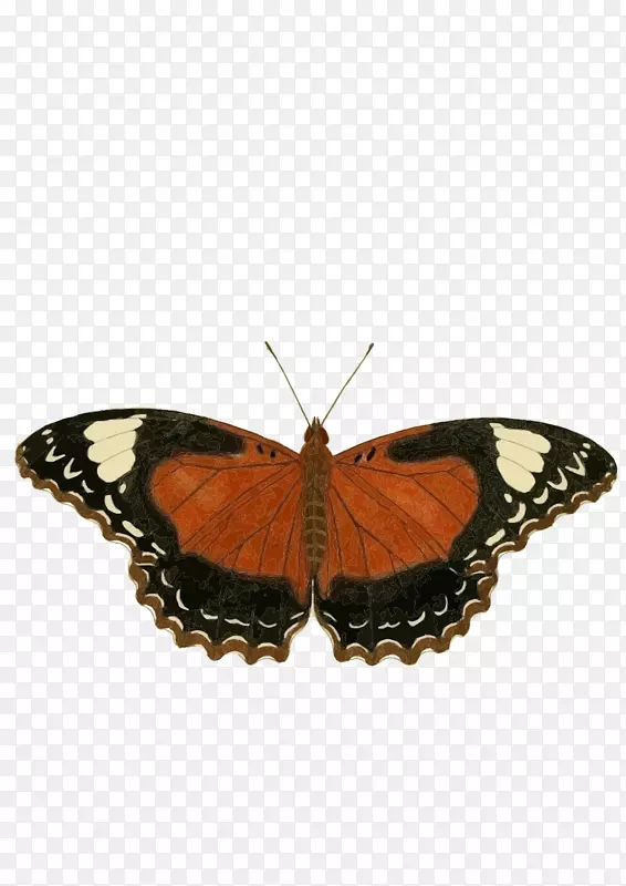 �����������ͼ�����������-������