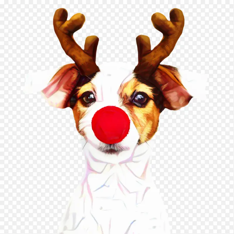 �ɰ��Ĺ� ���� ����-������