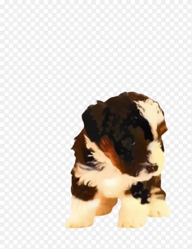 �ɰ��Ĺ� ���� ����-������