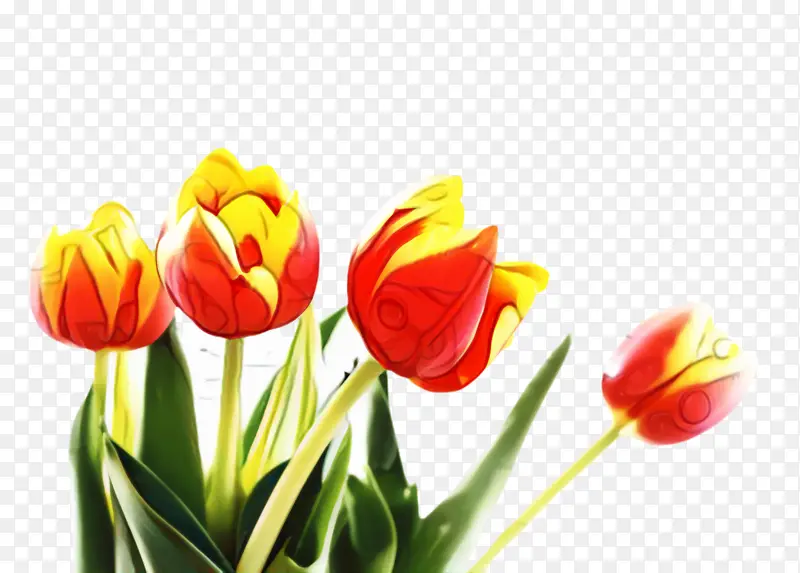 ������ ���� ֲ��-������