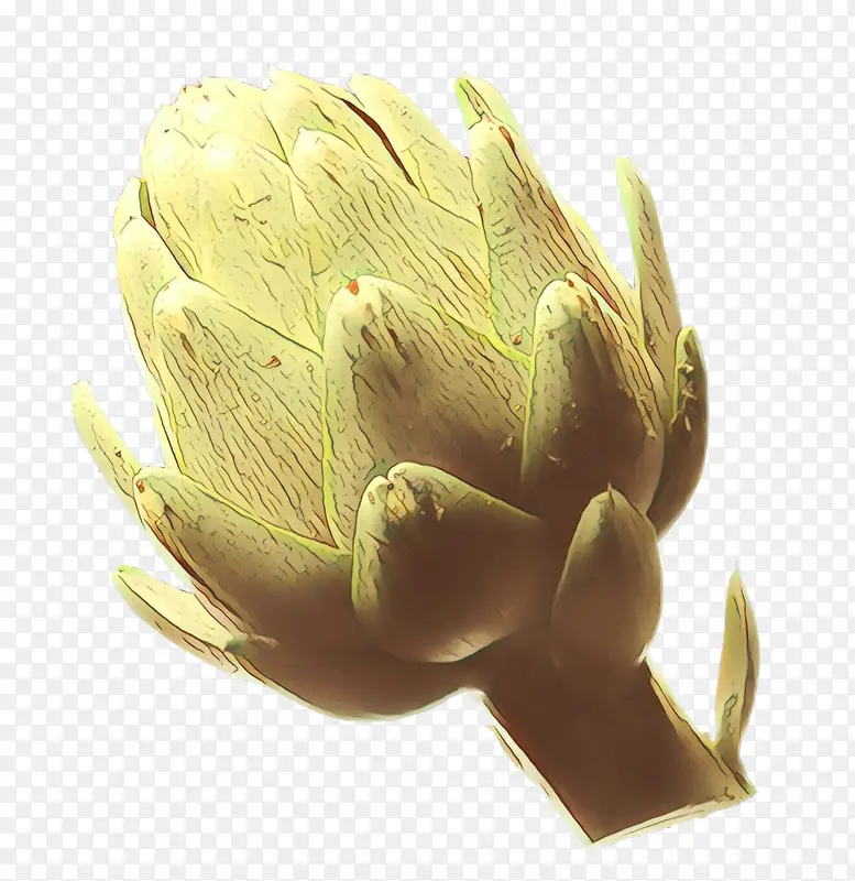 ��ͨ �� ֲ��-������