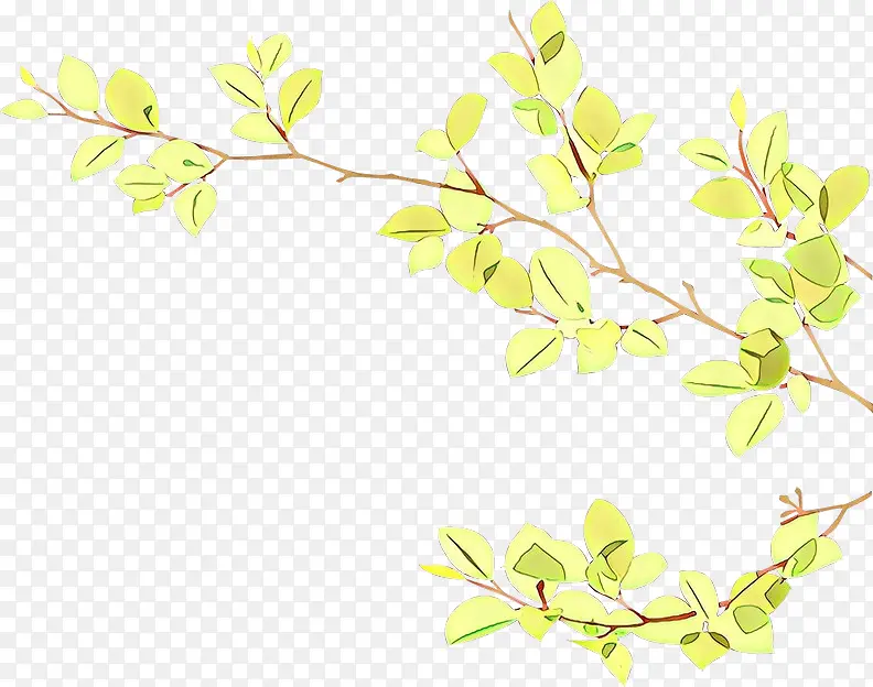 ��ͨ ��֦ ֲ�ﾥ-������