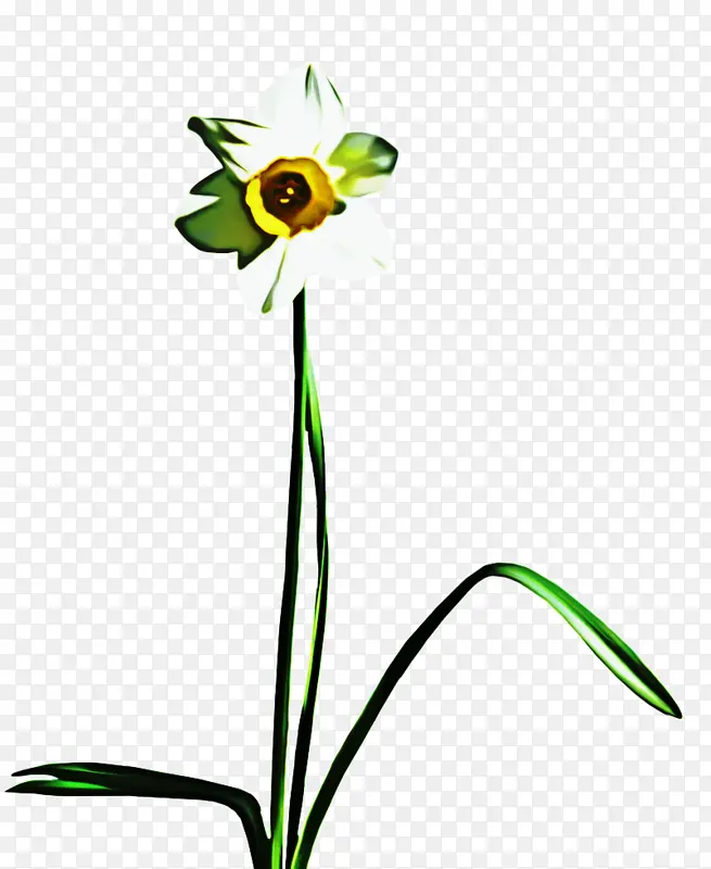 �л� ֲ�ﾥ ѿ-������