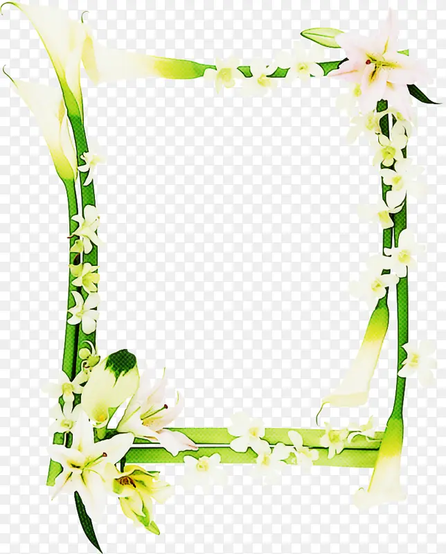 �Ա� ���� ����-������