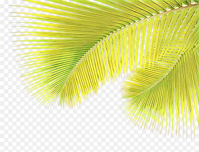 ��ͨ ����� ��ɫ-������