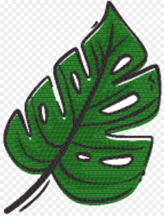 Ҷ�� ��ɫ ����ֲ��-������