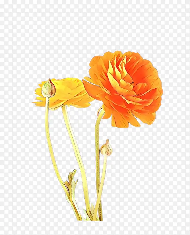 ��ͨ �л� ֲ�ﾥ-������