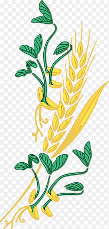 ˮ�� ���� ʪī-������