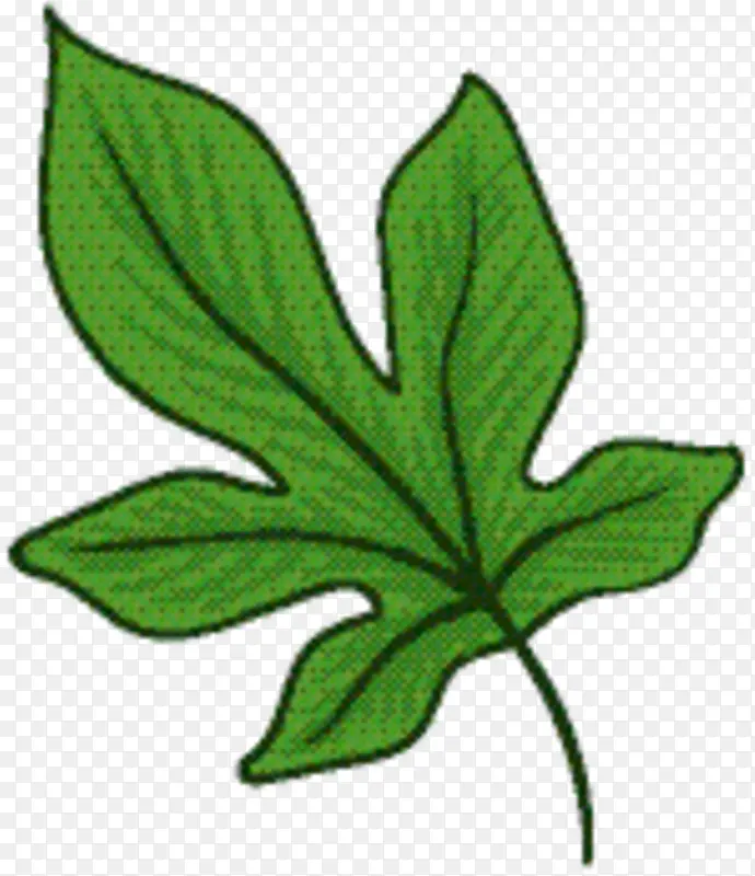 Ҷ ֲ�ﾥ ����ֲ��-������