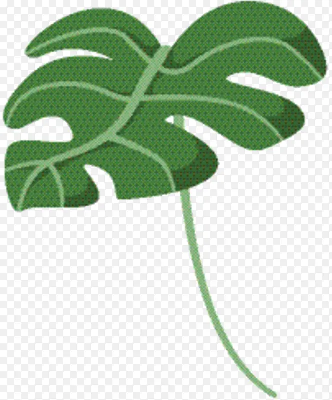 Ҷ ֲ�ﾥ ����ֲ��-������