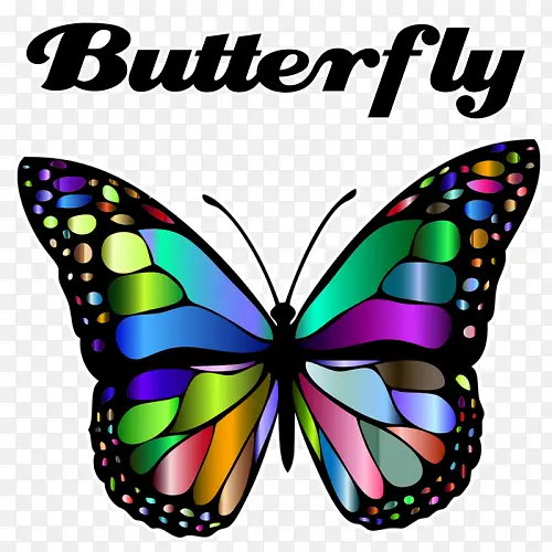 ���� ���� ��������-������