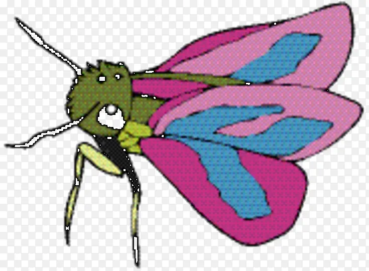 ���� ���� ����-������