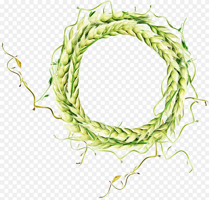 С�� ���� ����-������