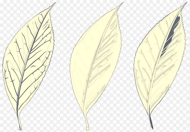 Ҷ ֲ�� ��-������