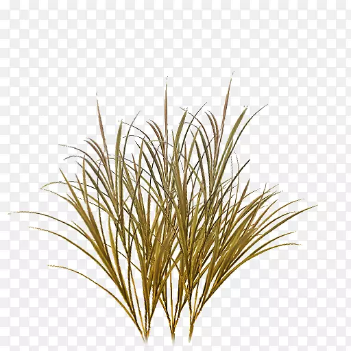 ����ӳ���ƺ�����ֽ-��-������