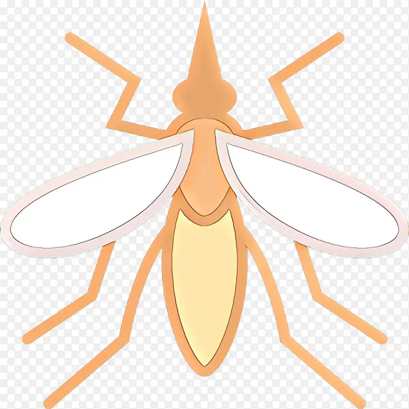 ��ͨ ���� ����-������