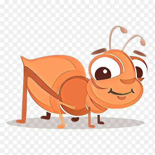 ��ͨ �� ����-������