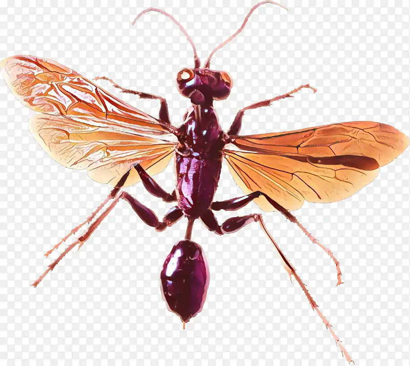 ��ͨ ���� ��Ʒ�-������