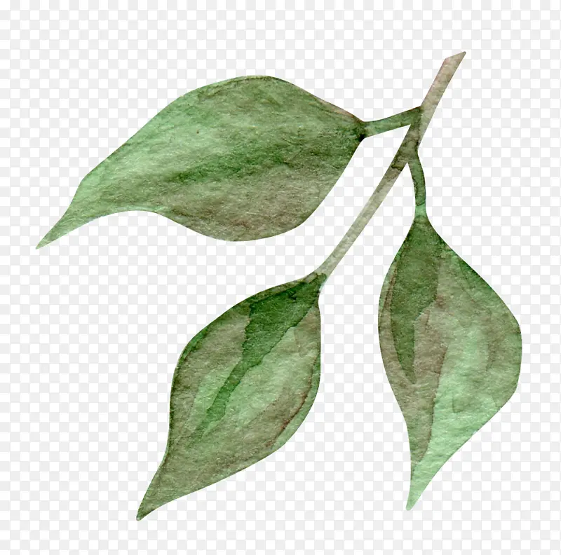 Ҷ�� �滭 ˮ�ʻ�-������