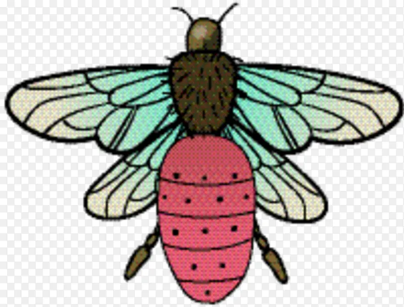 ˢ����� �ɶ� ����-������