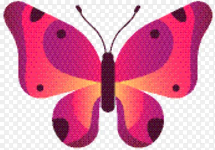 ˢ����� �Գ� ����-������