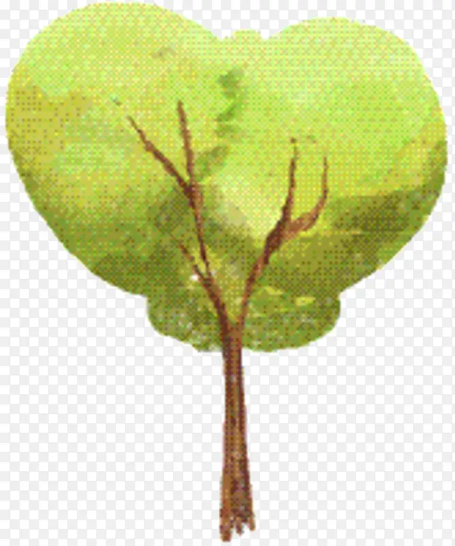 ��֦ ֲ�ﾥ Ҷ-������