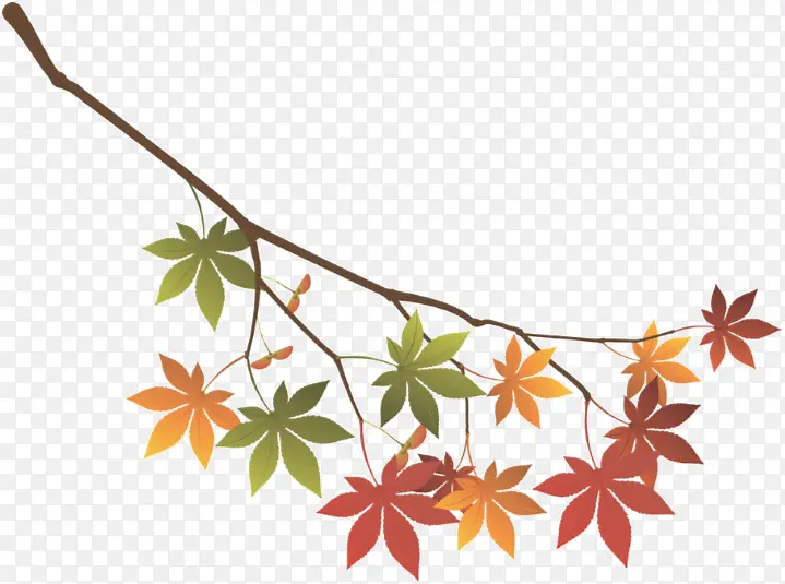 ���� ���꿨Ƭ ����-������