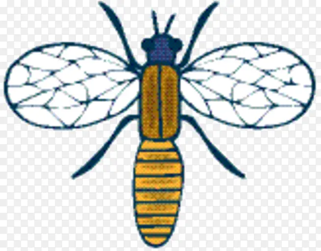 �۷� ���� ��-������