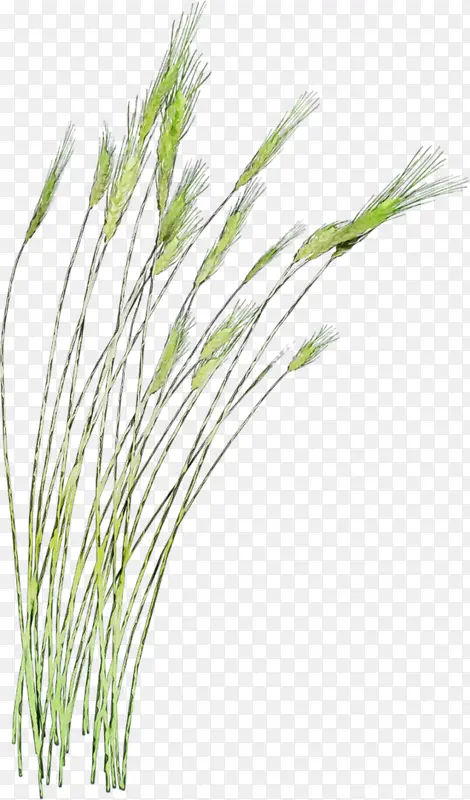 ˮ�ʻ� ���� ʪī-������