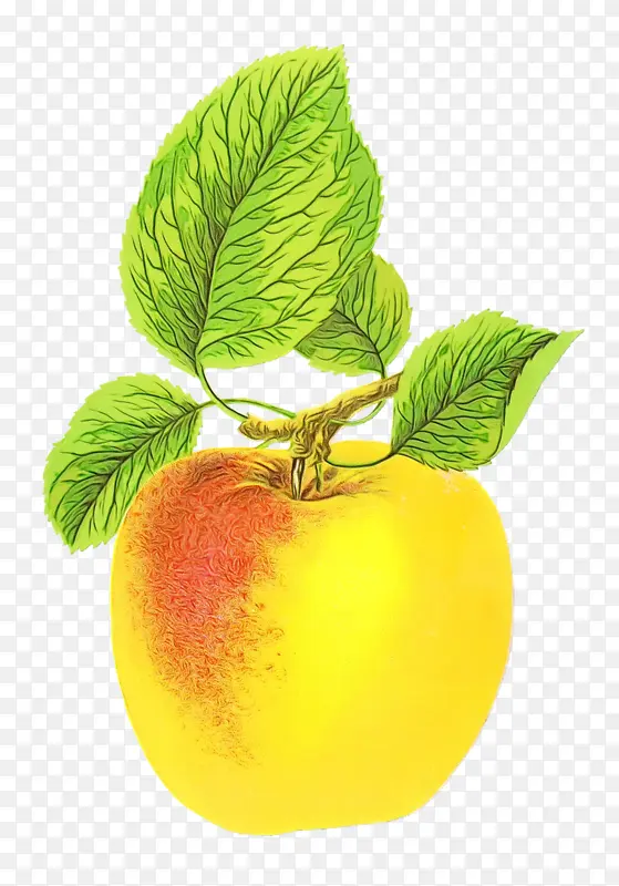 ˮ�� ���� ʪīˮ-������