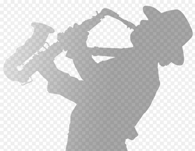 ��ָ ���� �Ƕ�-������