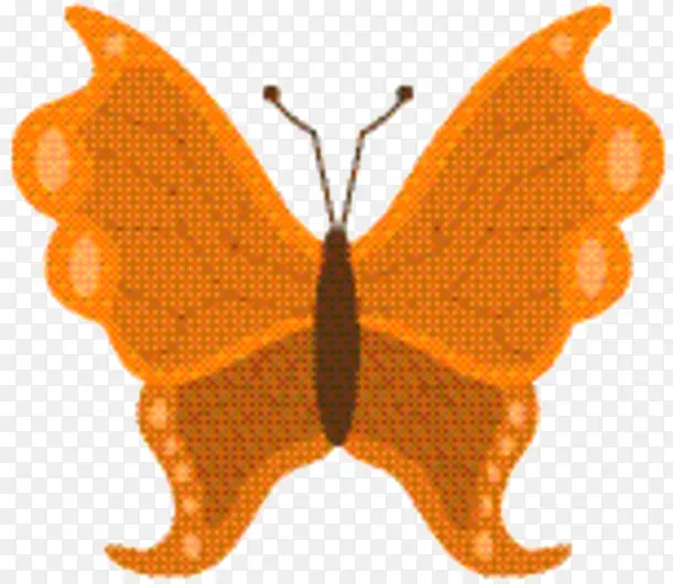 ˢ����� �ɶ� �Գ�-������