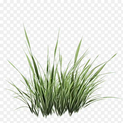 ˮ�ʻ� ���� ʪī-������