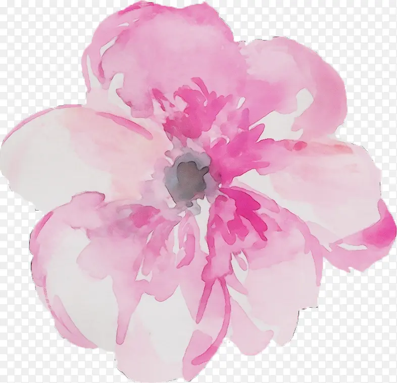 ˮ�ʻ� ���� ʪī-������