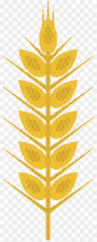 �Գ� ���� ��Ʒ-������